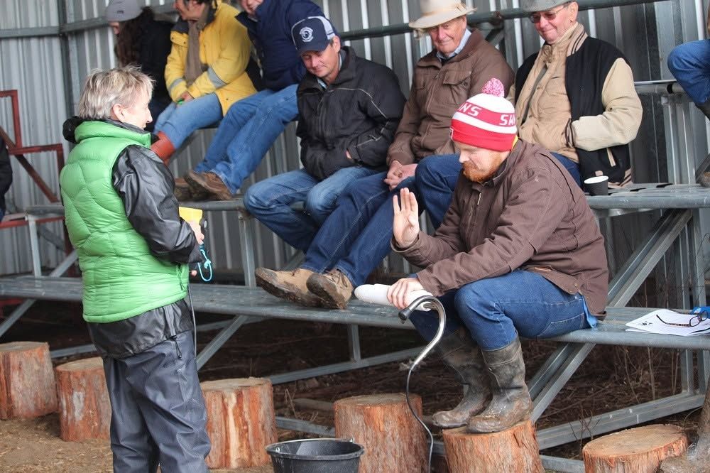 Dr Viv Perry at a producer field day