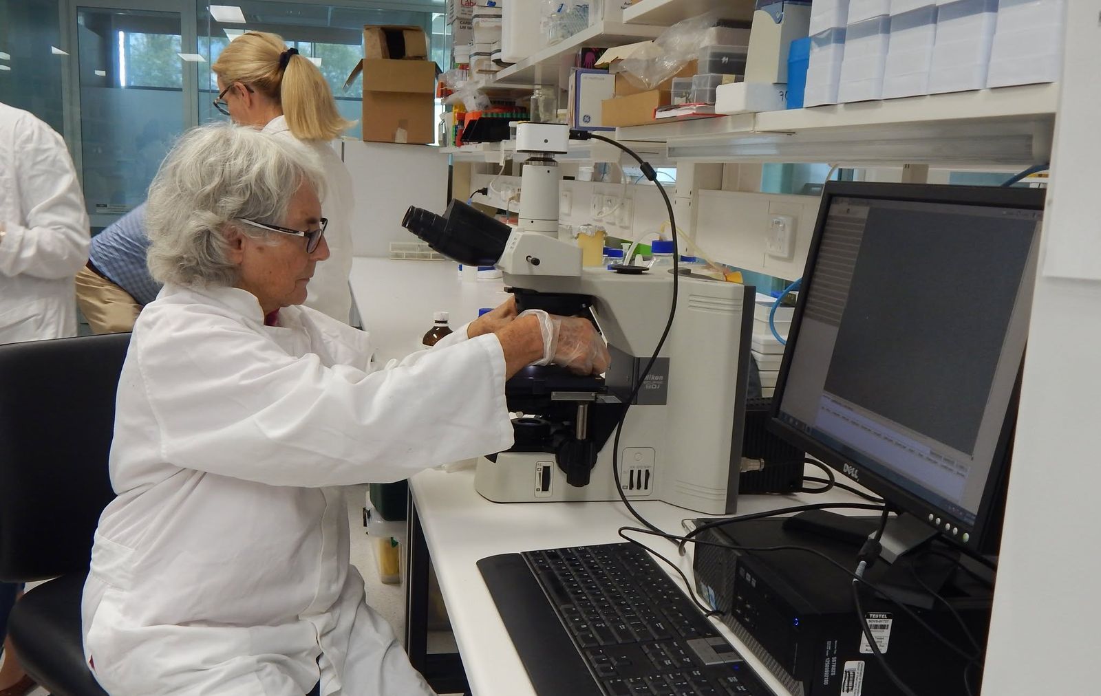 A QSML morphologist at the microscope